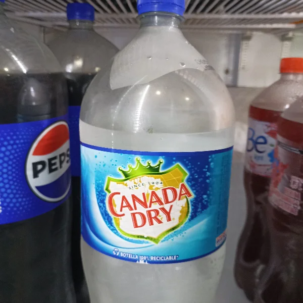 Agua Mineral Canada Dry 2L
