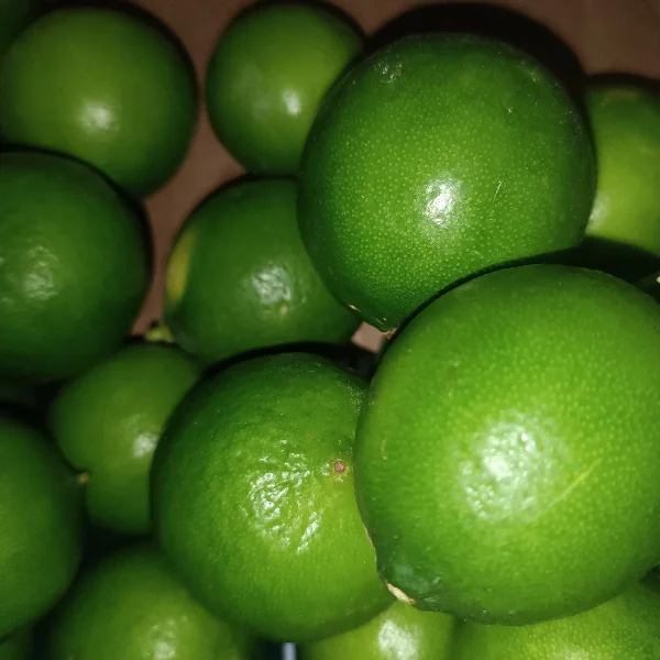 Fruta Limon Persa 1kg