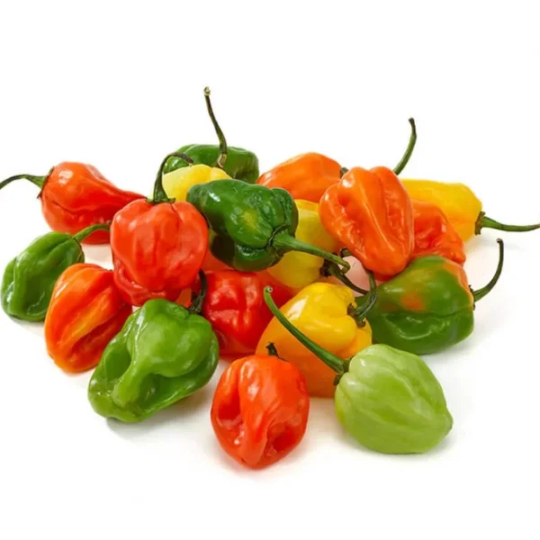 Chile Habanero 1kg