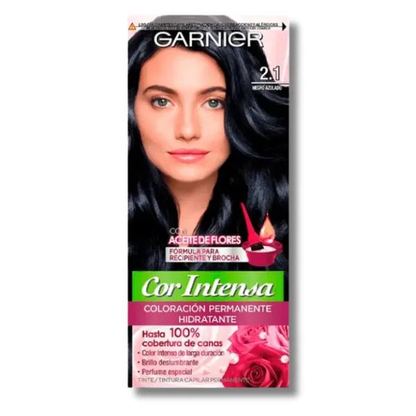Tinte Garnier Cor Intensa 2.1 Negro Azulado